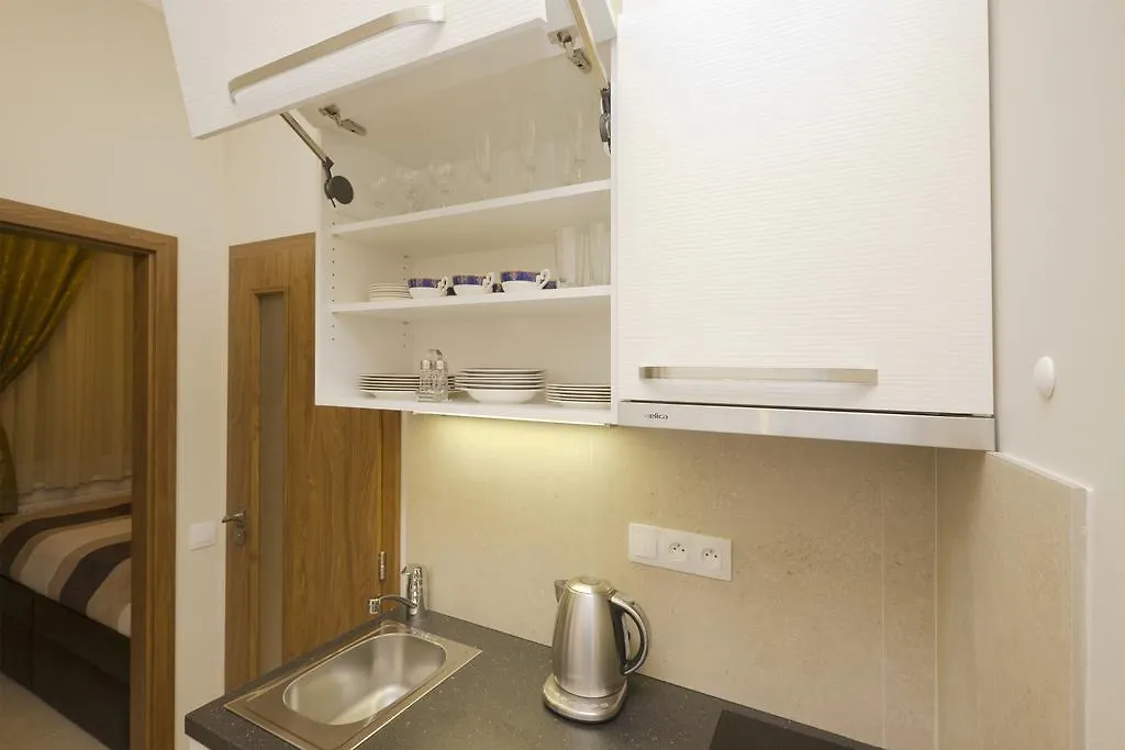 Apartment Karla Capka Street KLV 0*,