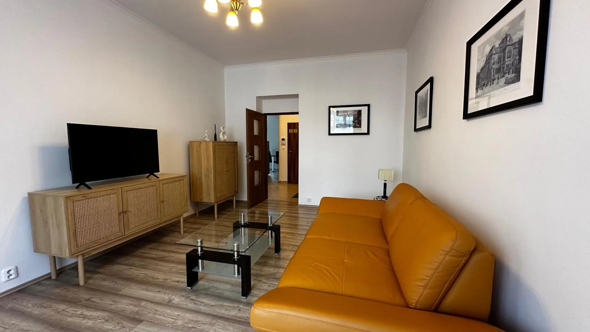 Apartment Karla Capka Street  Karlovy Vary