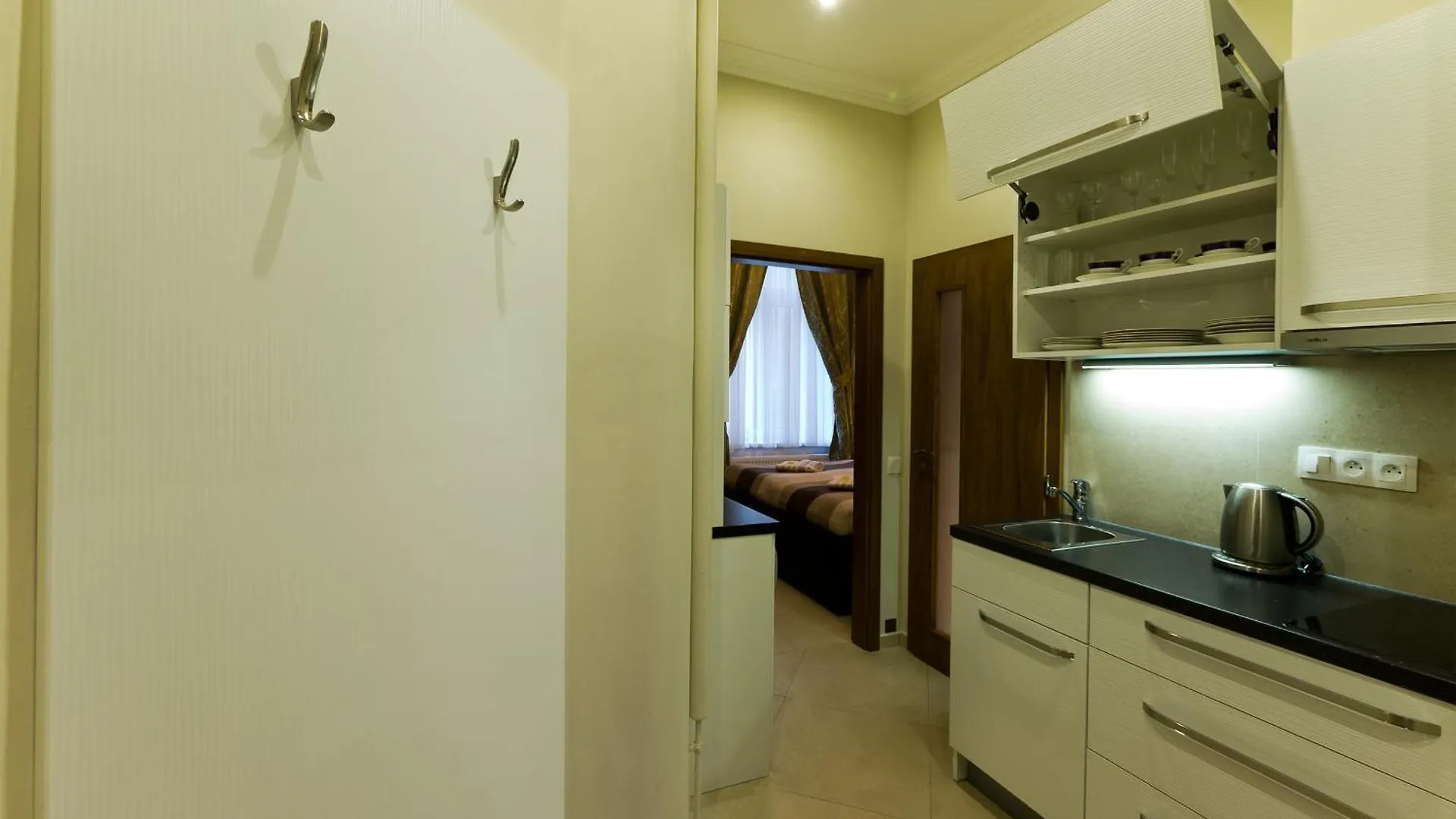 Apartment Karla Capka Street 0*, Karlovy Vary