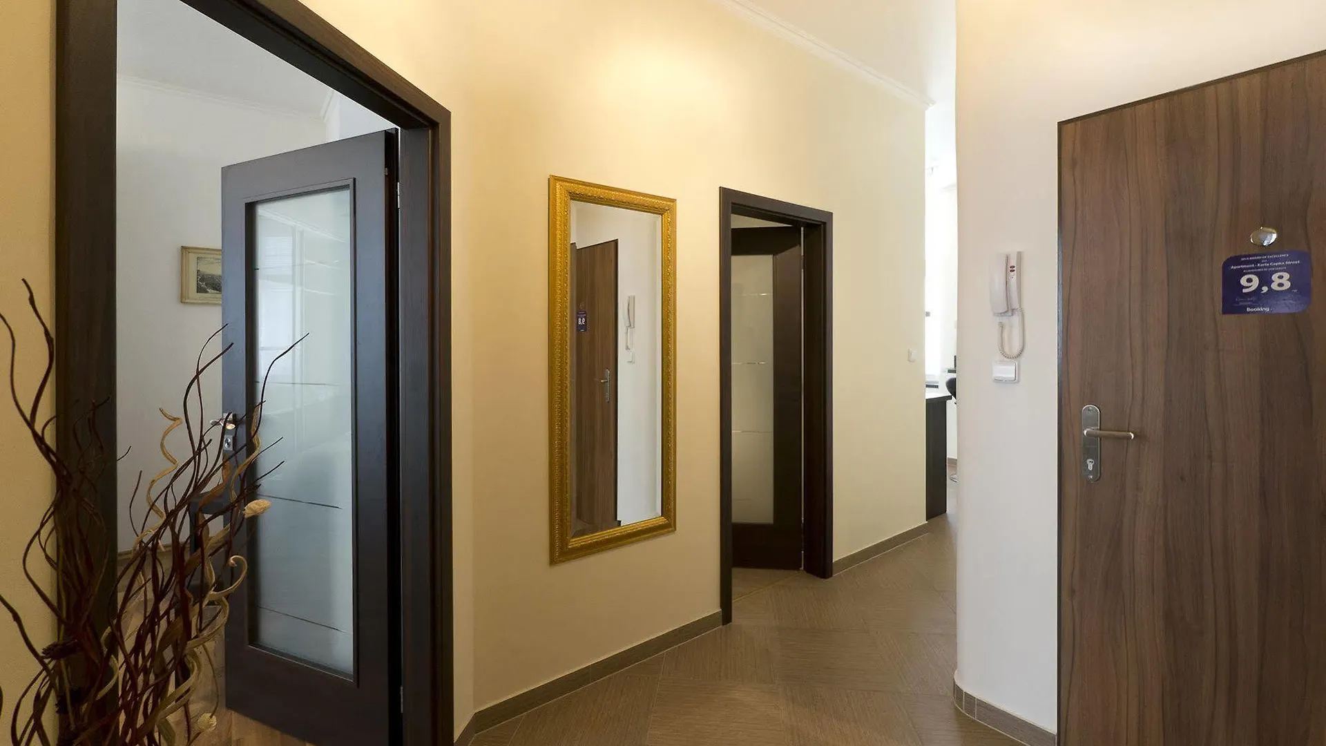 Apartment Karla Capka Street KLV